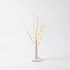 Birch tree light - Birch Tree Lamp on white background
