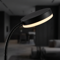 Gooseneck Reading Floor Lamp lifestyle 3