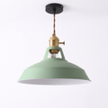 Colorful Barn Pendant Light in green on white background