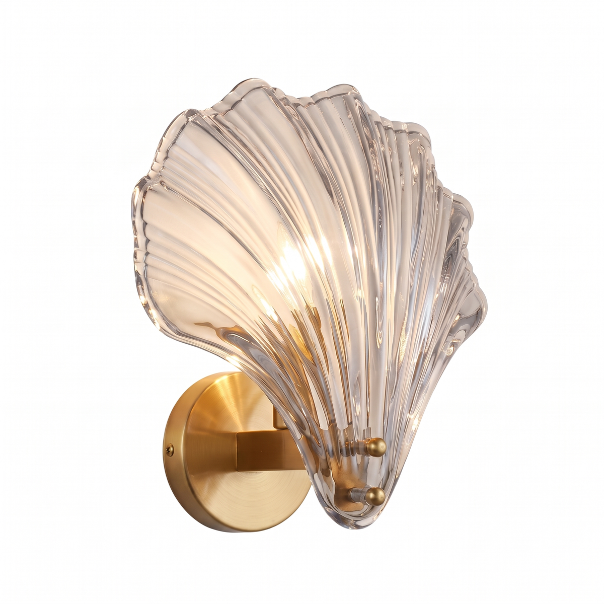 Seashell Glass Wall Sconce in Clear on white background