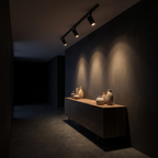 Modern Black LED Track Lighting Kit spotlighting a console table in a dark hallway